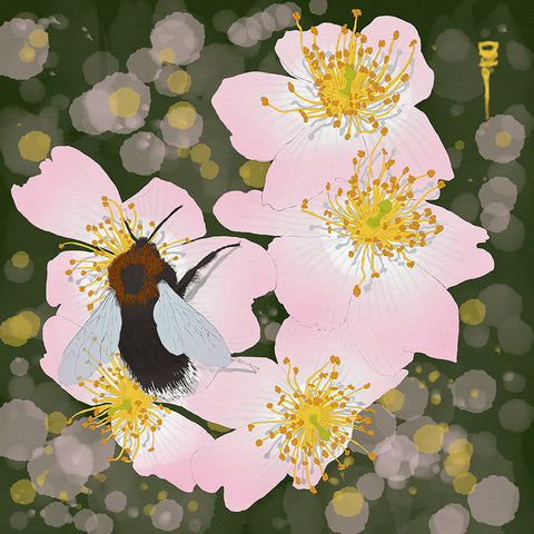 Bees and Wild Rose