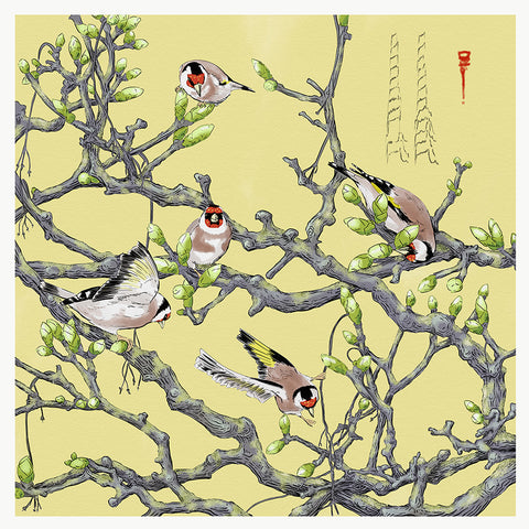 Goldfinches and Sycamore