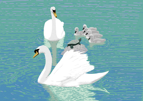 Swans and Turtle