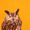 Eagle Owl - Fridge Magnet