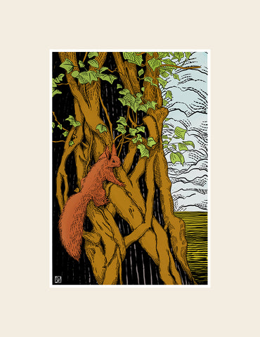 Red Squirrel, Oak & Ivy - Fridge Magnet