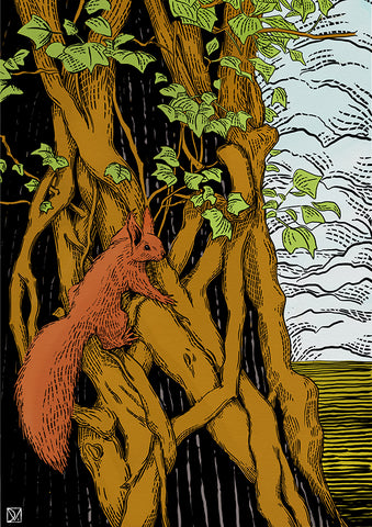 Red Squirrel, Oak & Ivy